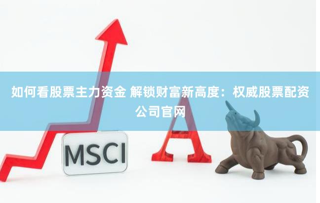 如何看股票主力资金 解锁财富新高度：权威股票配资公司官网