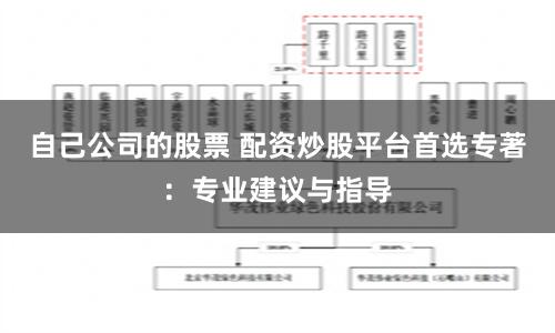 自己公司的股票 配资炒股平台首选专著：专业建议与指导